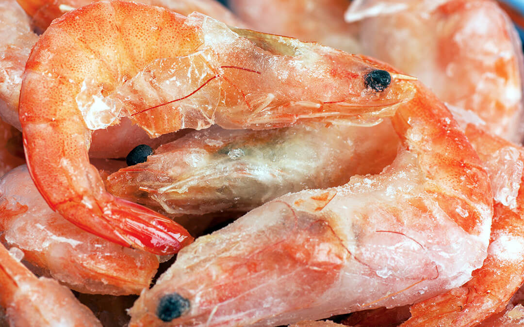 A close up of frozen shrimp