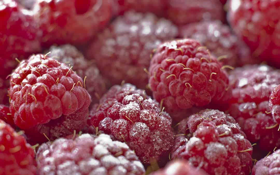 A close up image of raspberries.