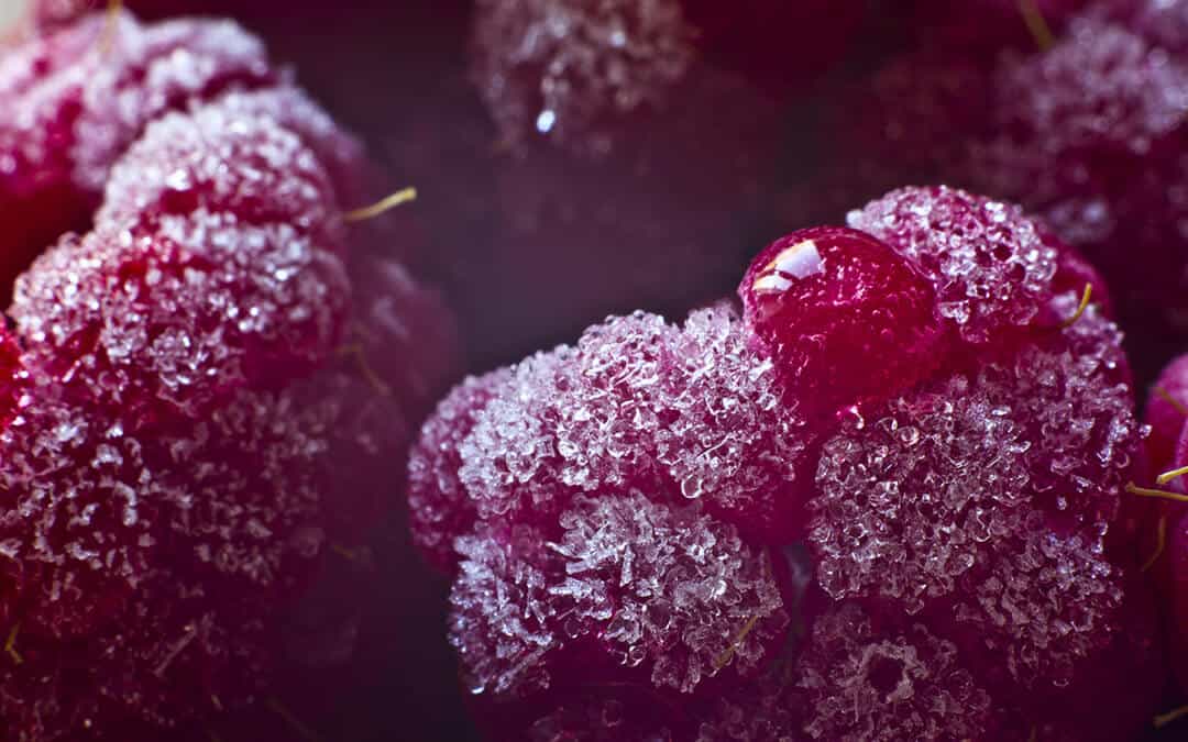 Macro view of juicy red iced raspberries