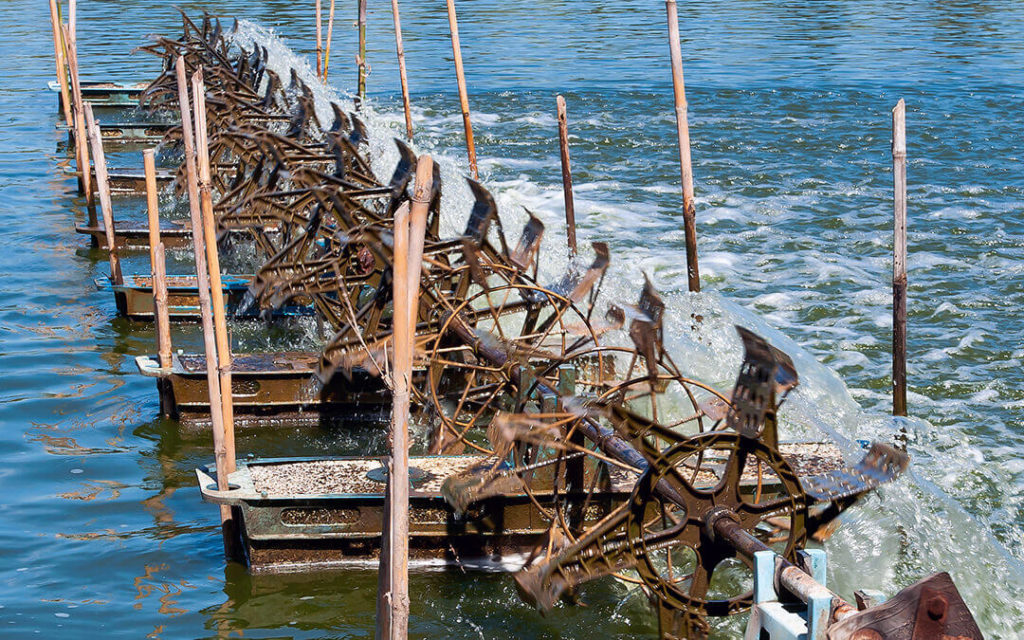The aeration turbines in the shrimp farm for fresh water
