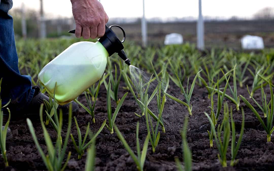 Spray bottle with greenhouse fertilizer