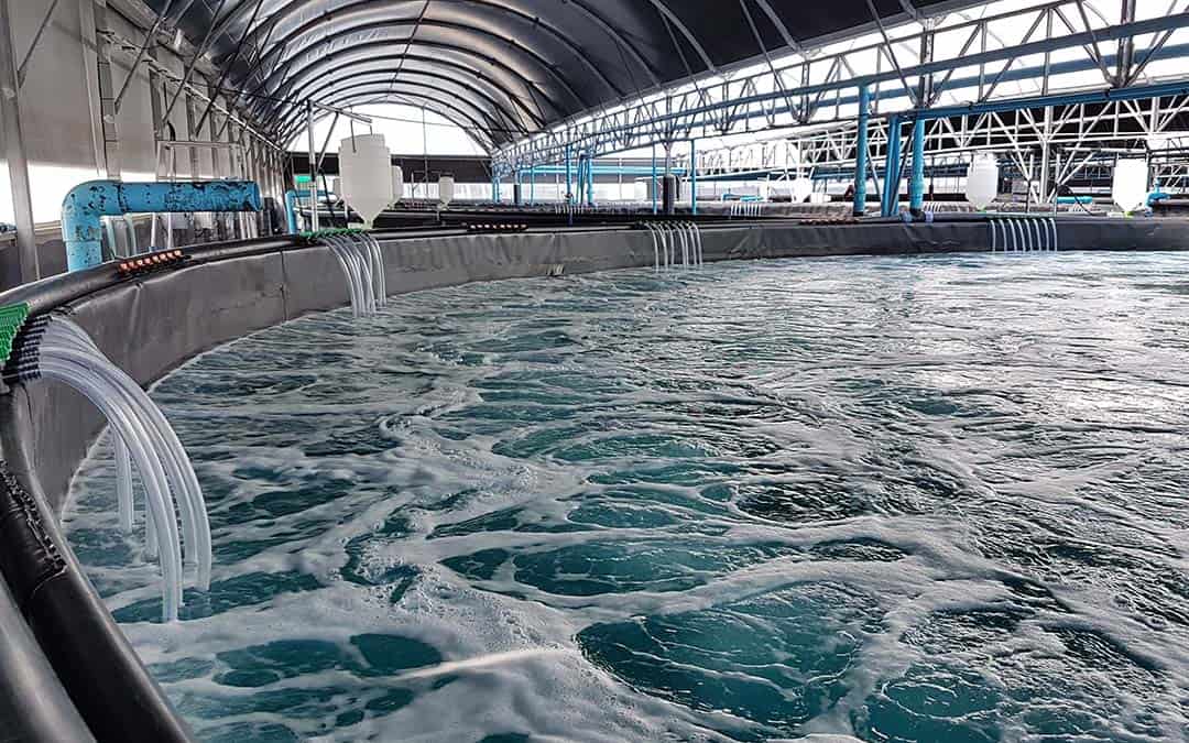 Aquaculture, fish farming, and use of liquid oxygen