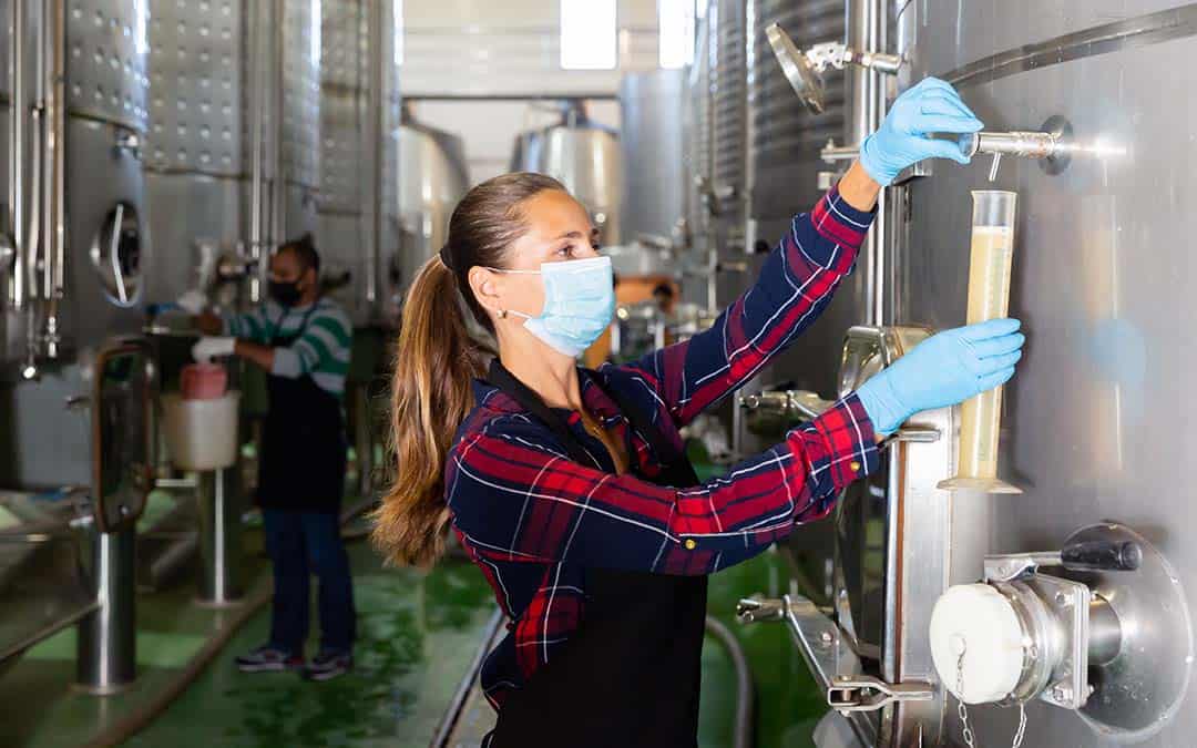 Woman checking the fermentation of wine