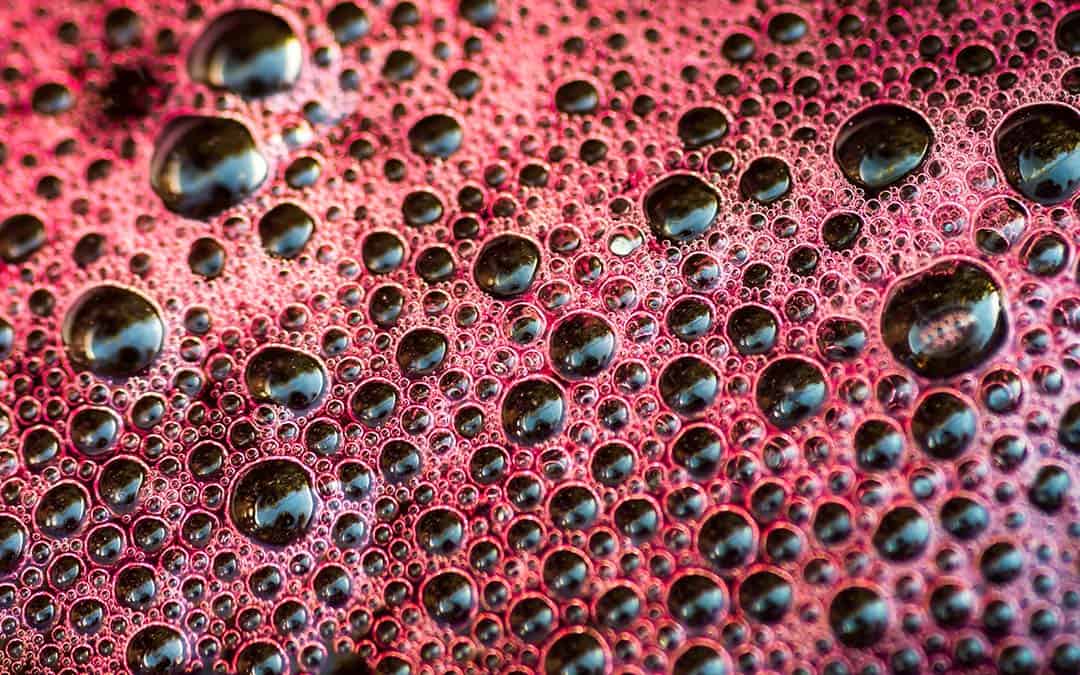Wine fermentation bubbles