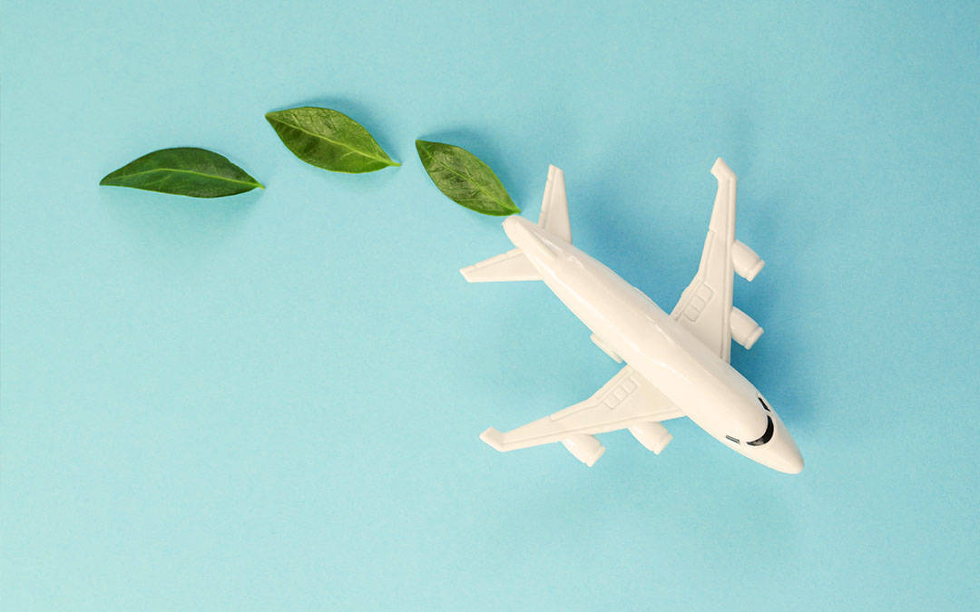 Transforming Carbon Dioxide into Fuel - airplane with leaves behind it